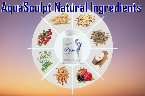 AquaSculpt Ingredients